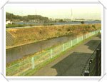 ご自宅西側に面する川。この景色が購入の決め手でした。