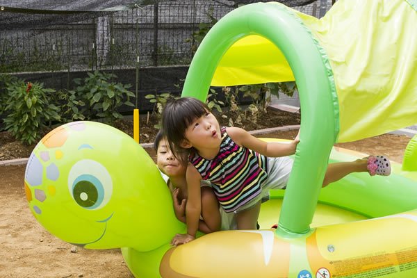 この夏お気に入り大きな庭でプール遊び