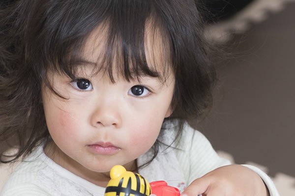 2歳の妹ちゃんは、しまじろうのおもちゃに夢中でした。