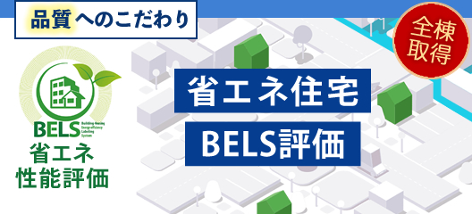 BELS