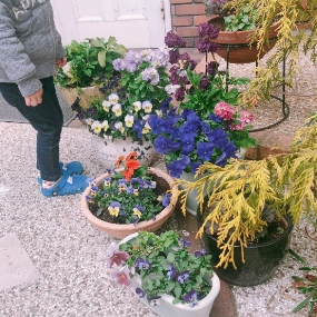 写真