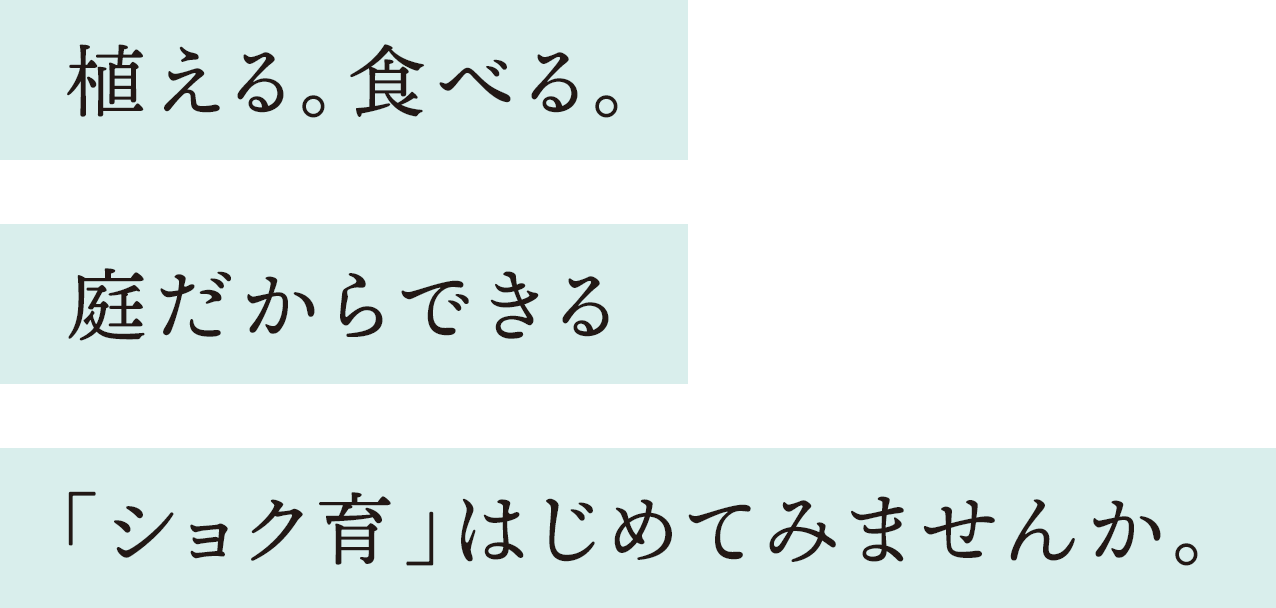 植える。食べる。庭だからできる「ショク育」はじめてみませんか。