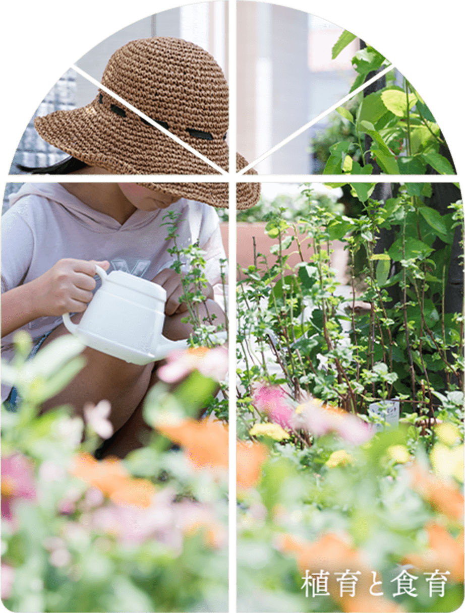 植育と食育