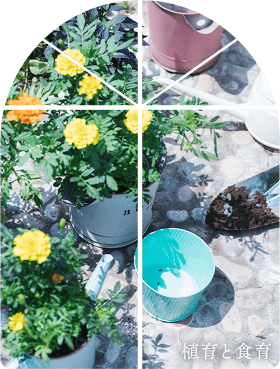 植育と食育
