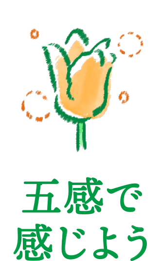 五感で感じよう