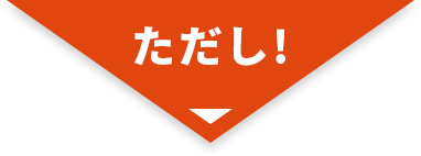 ただし