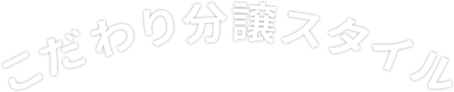 こだわり分譲スタイル