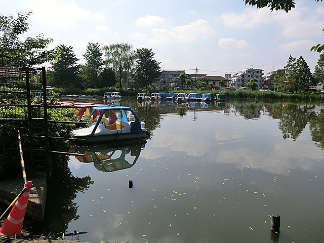 石神井公園