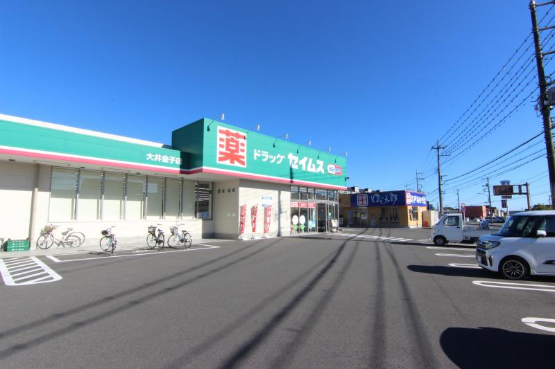 ドラッグセイムス