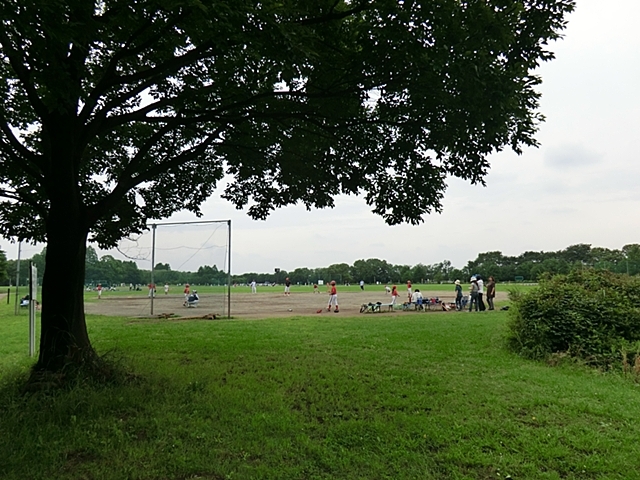 秋ヶ瀬公園
