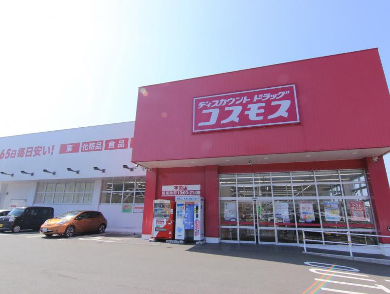 コスモス