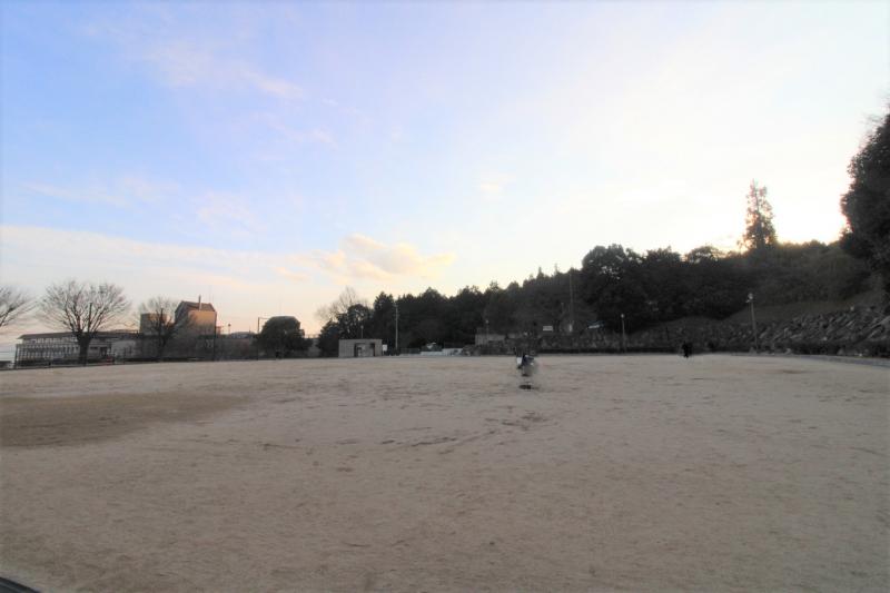 ◆坪井公園