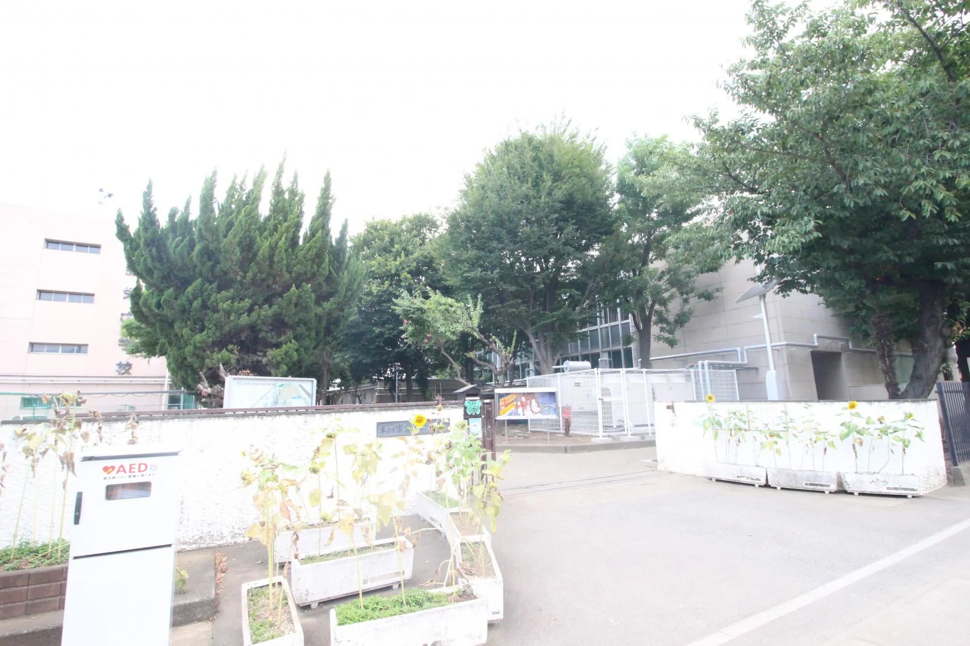 新栄中学校