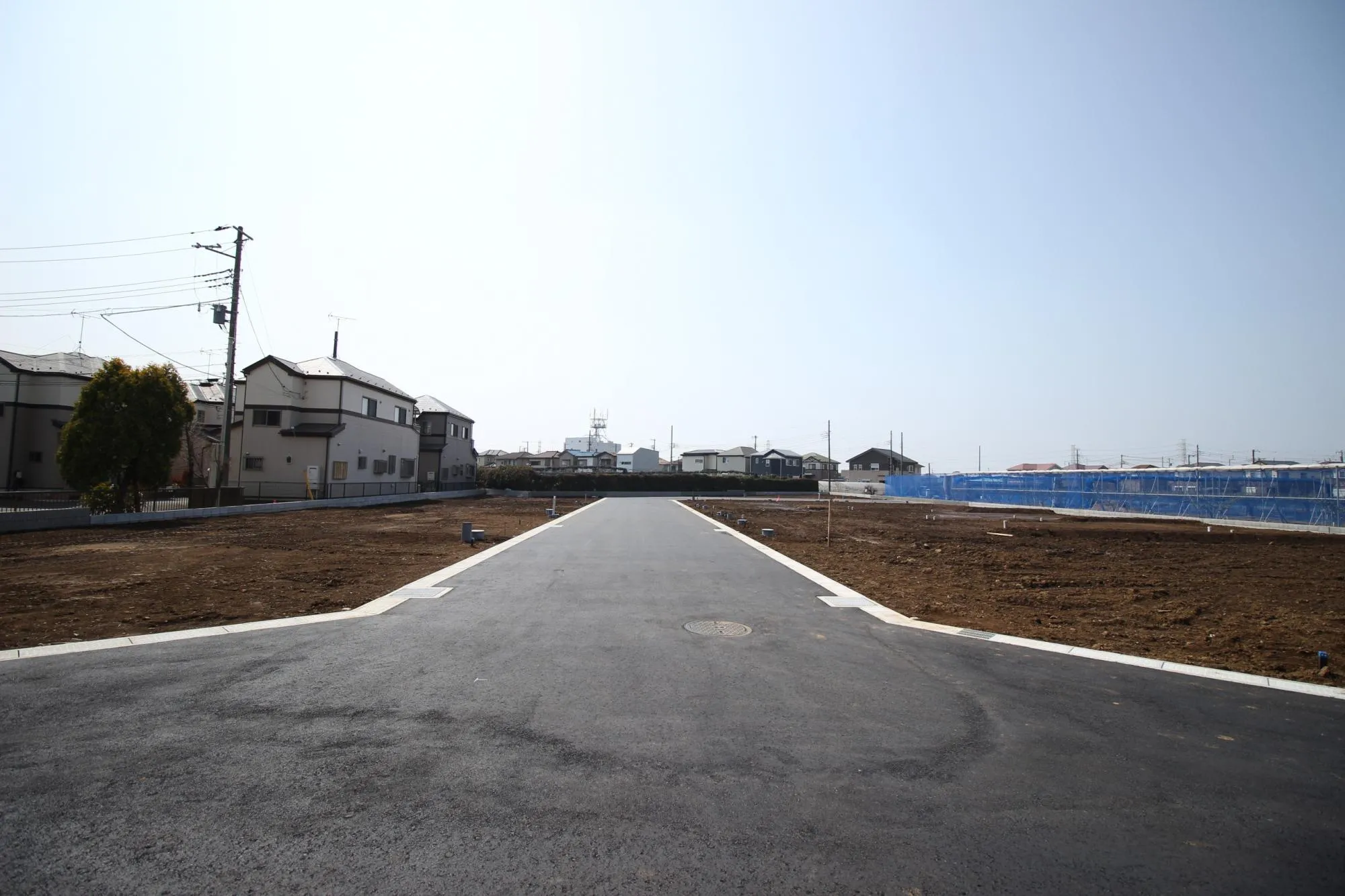 ★販売現地★
2026.3.29 撮影