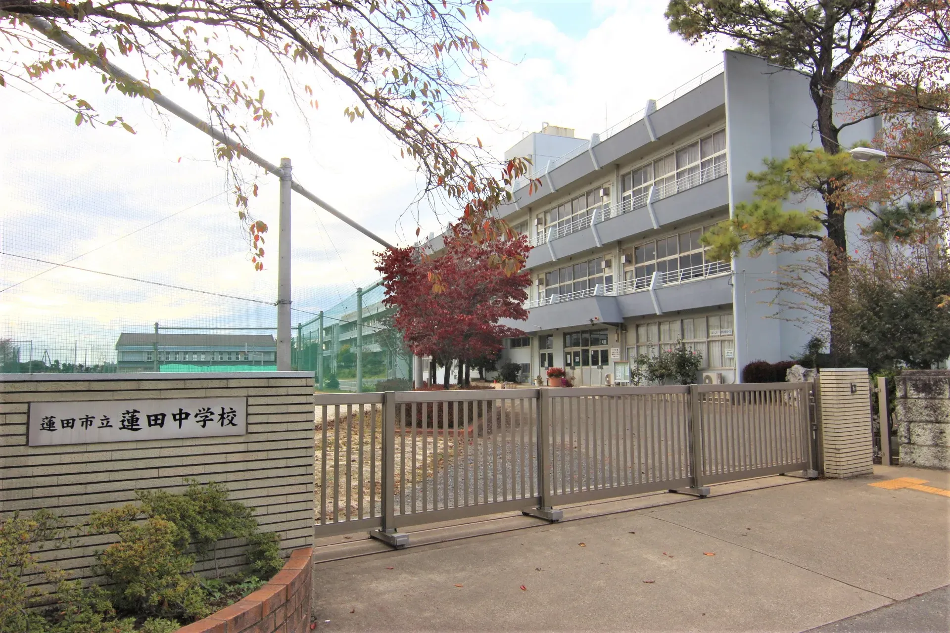 蓮田中学校