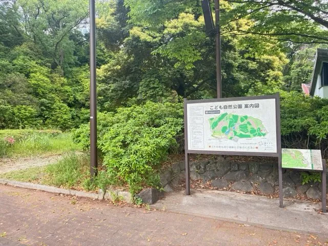 こども自然公園