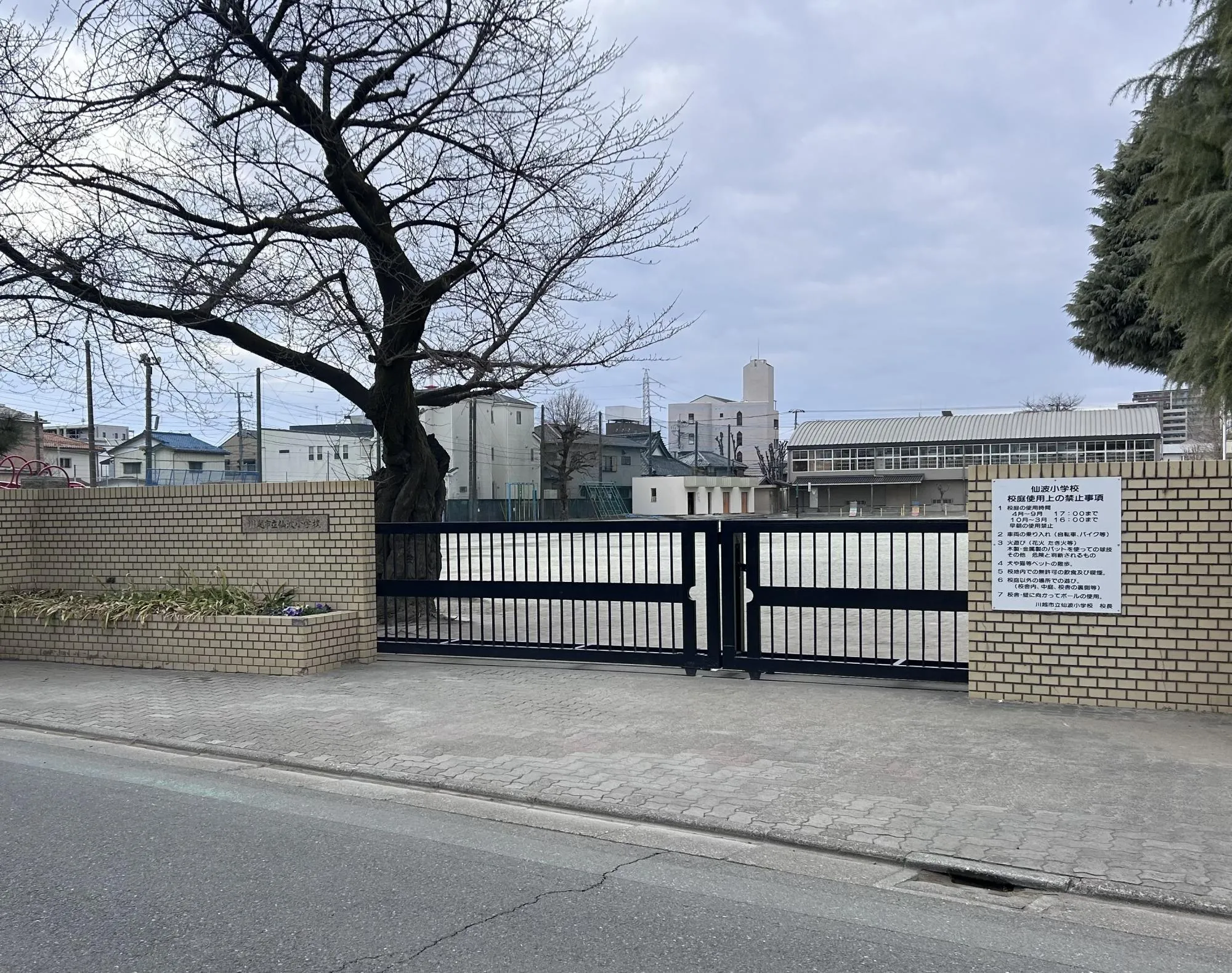 仙波小学校