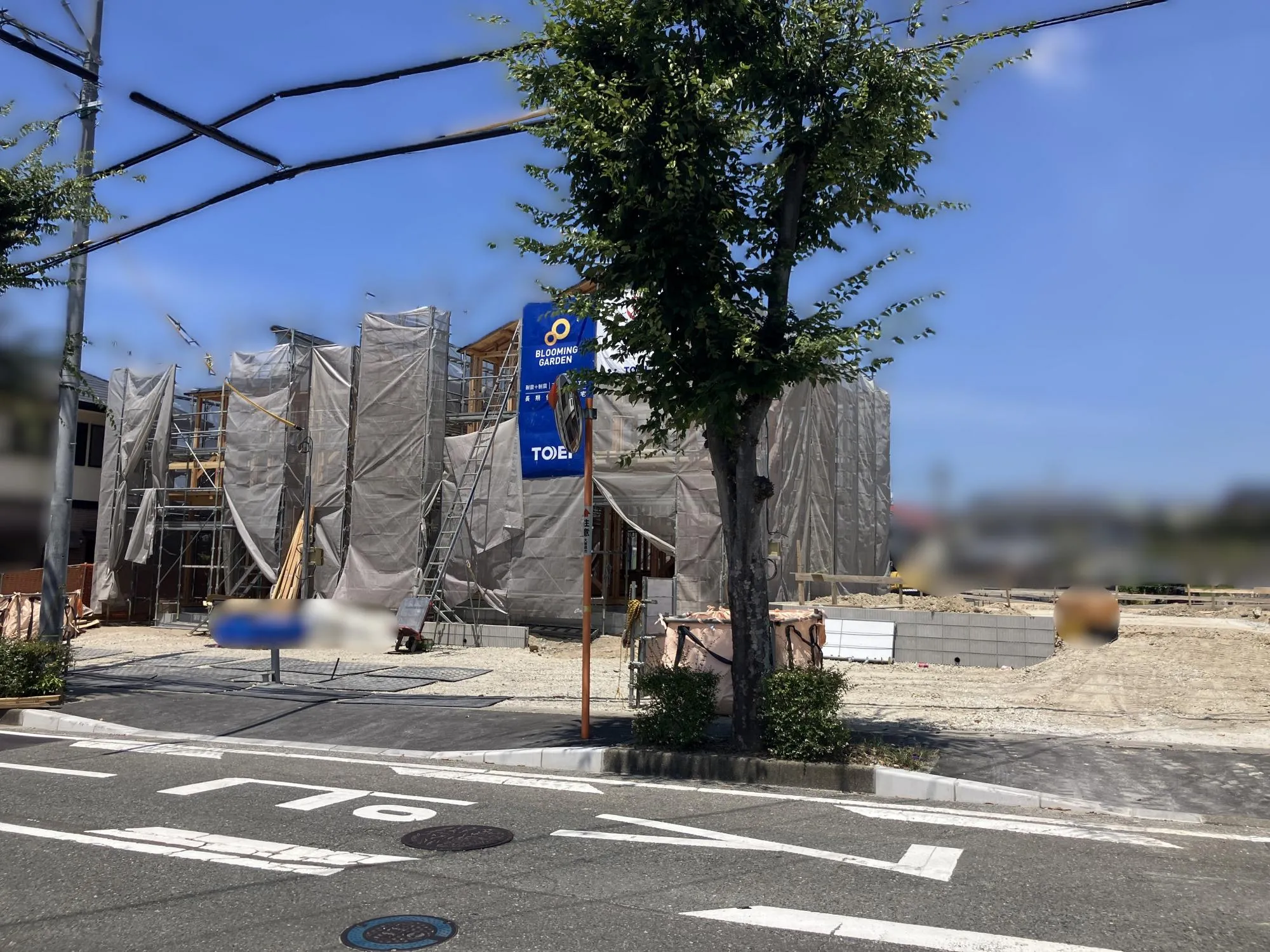 現地写真
