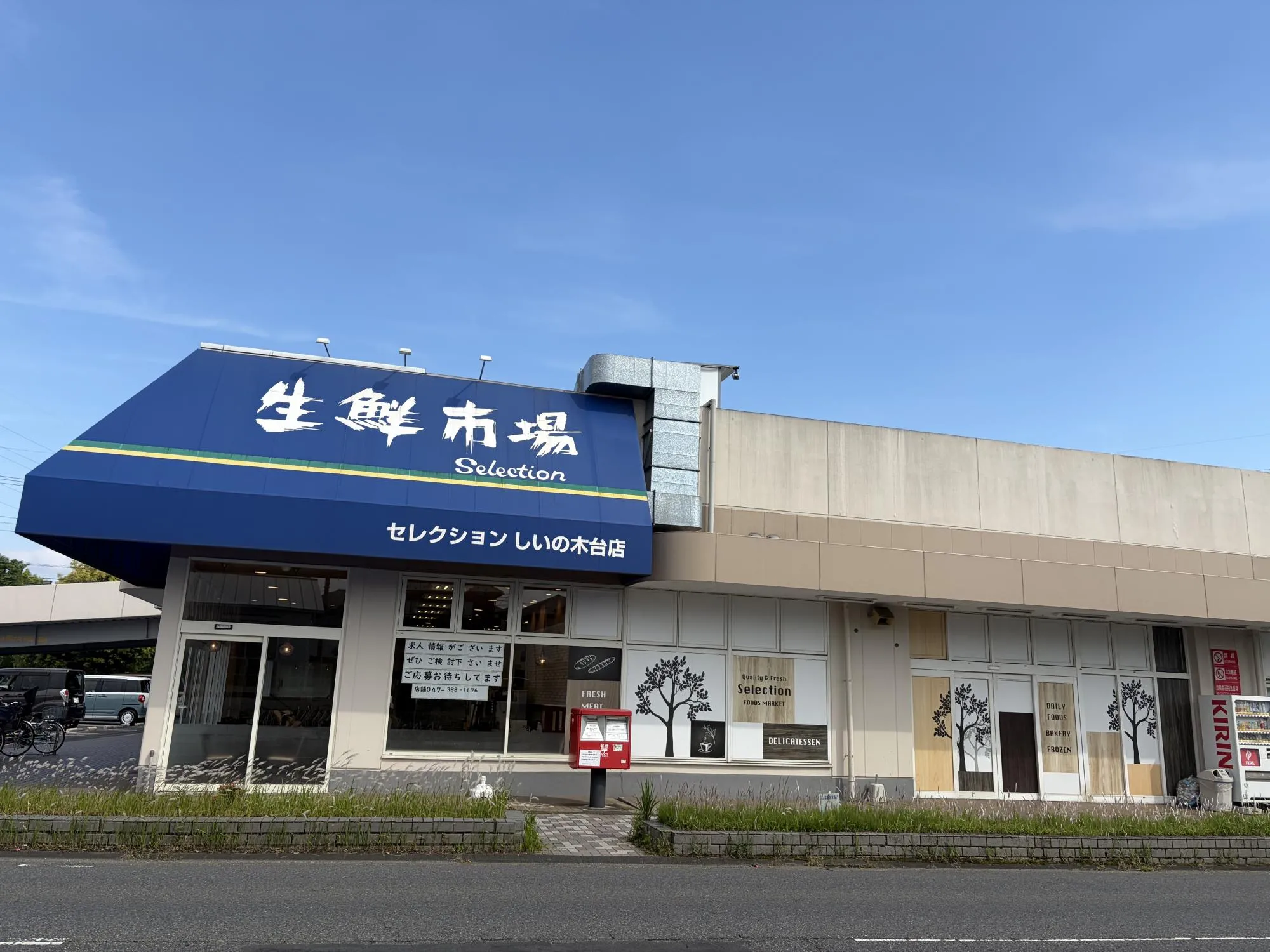 セレクション しいの木台店
