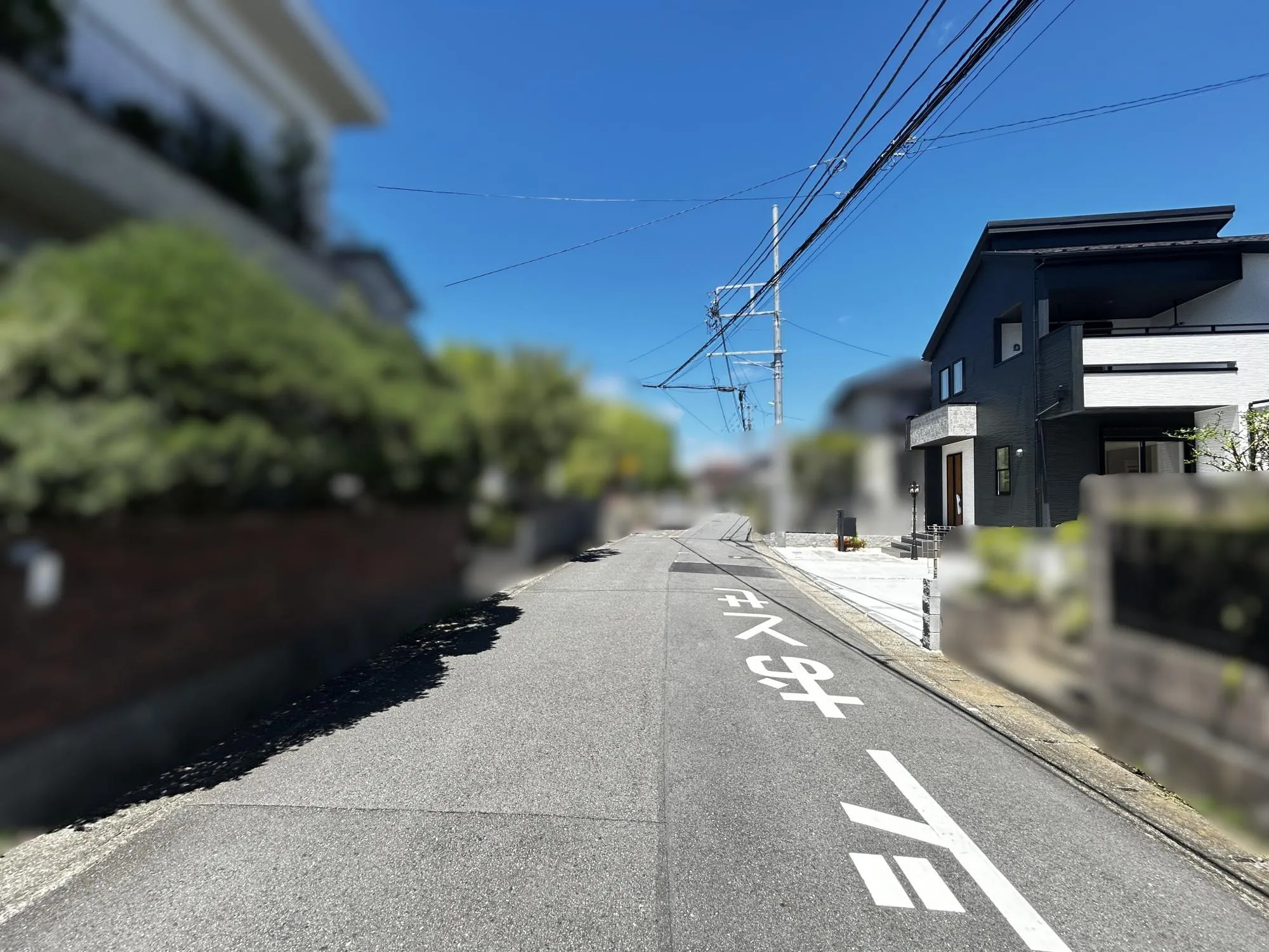 前面道路含む現地写真