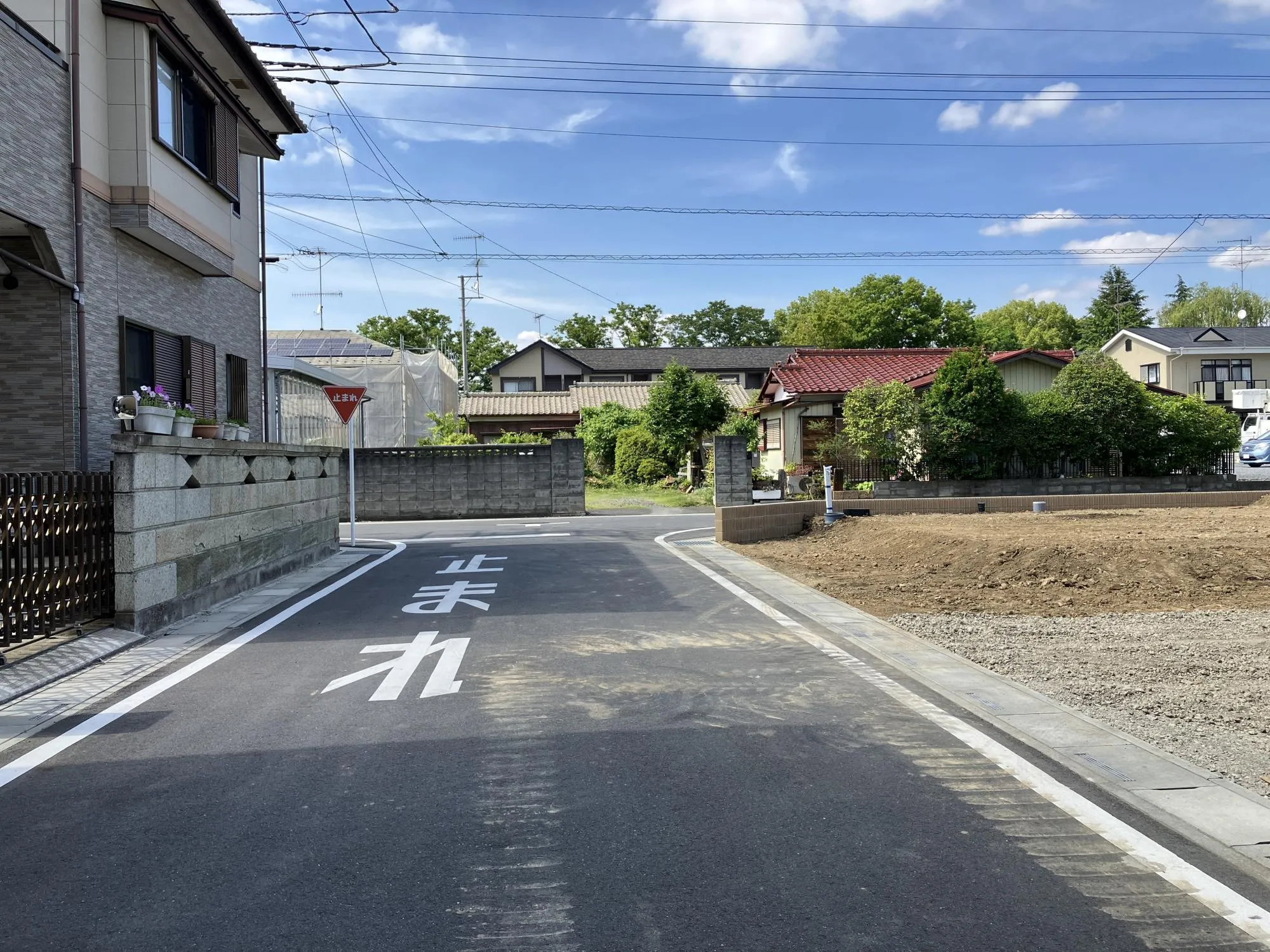 現地写真 6月撮影
