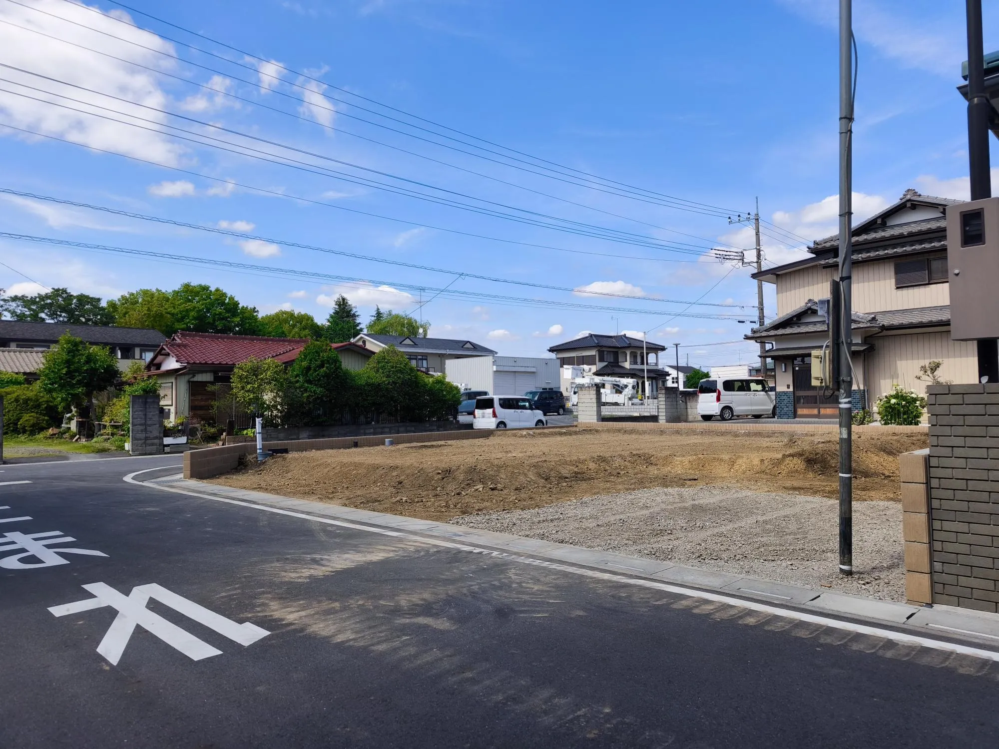 現地写真 6月撮影