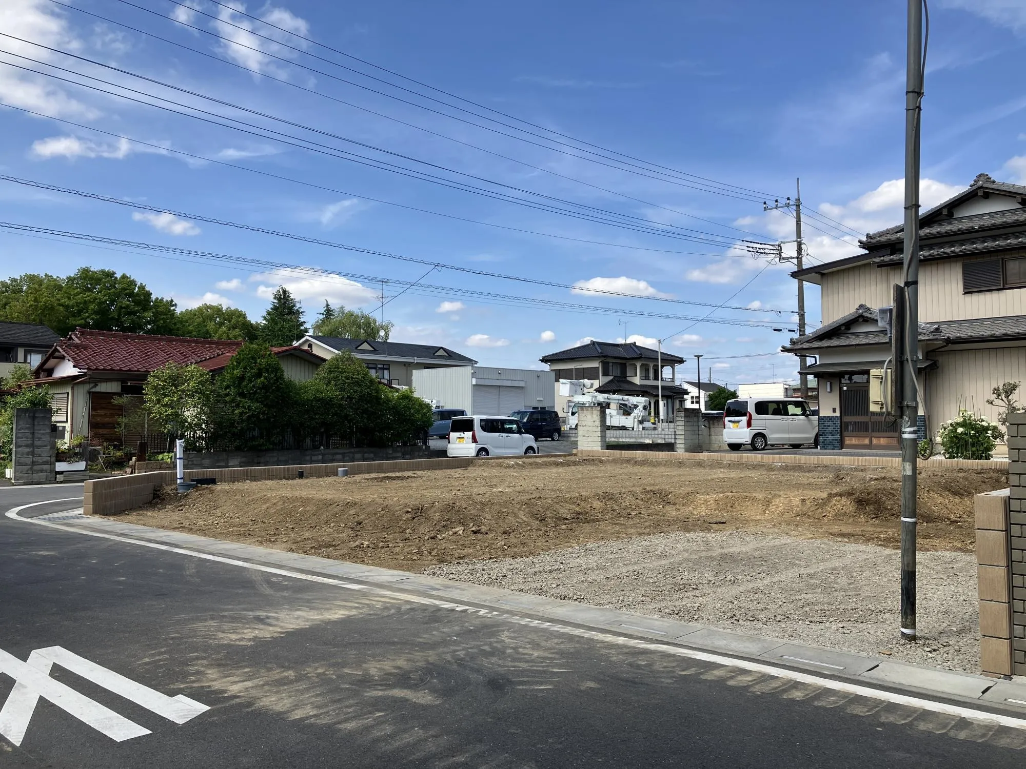 現地写真 6月撮影