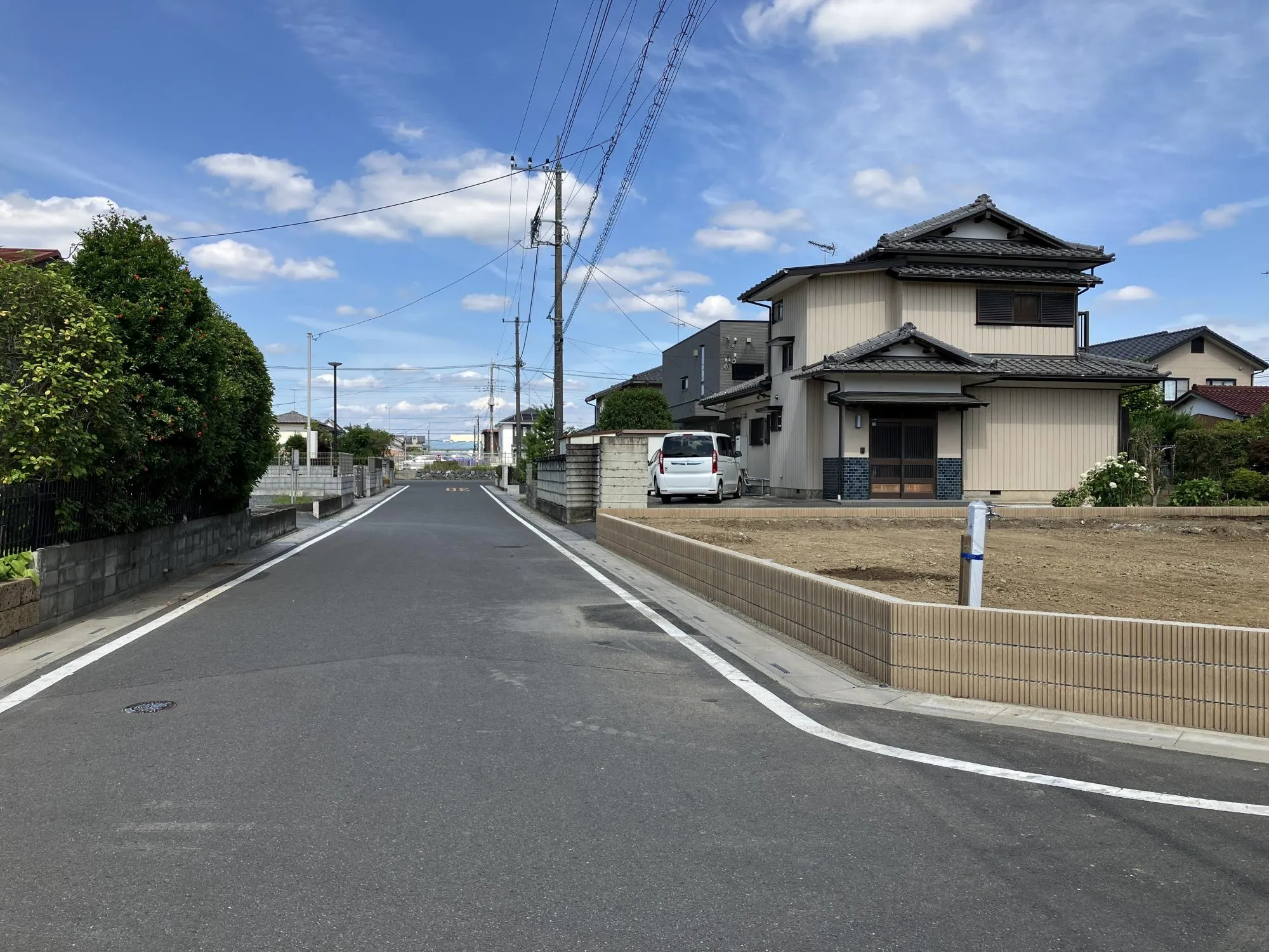 現地写真 6月撮影