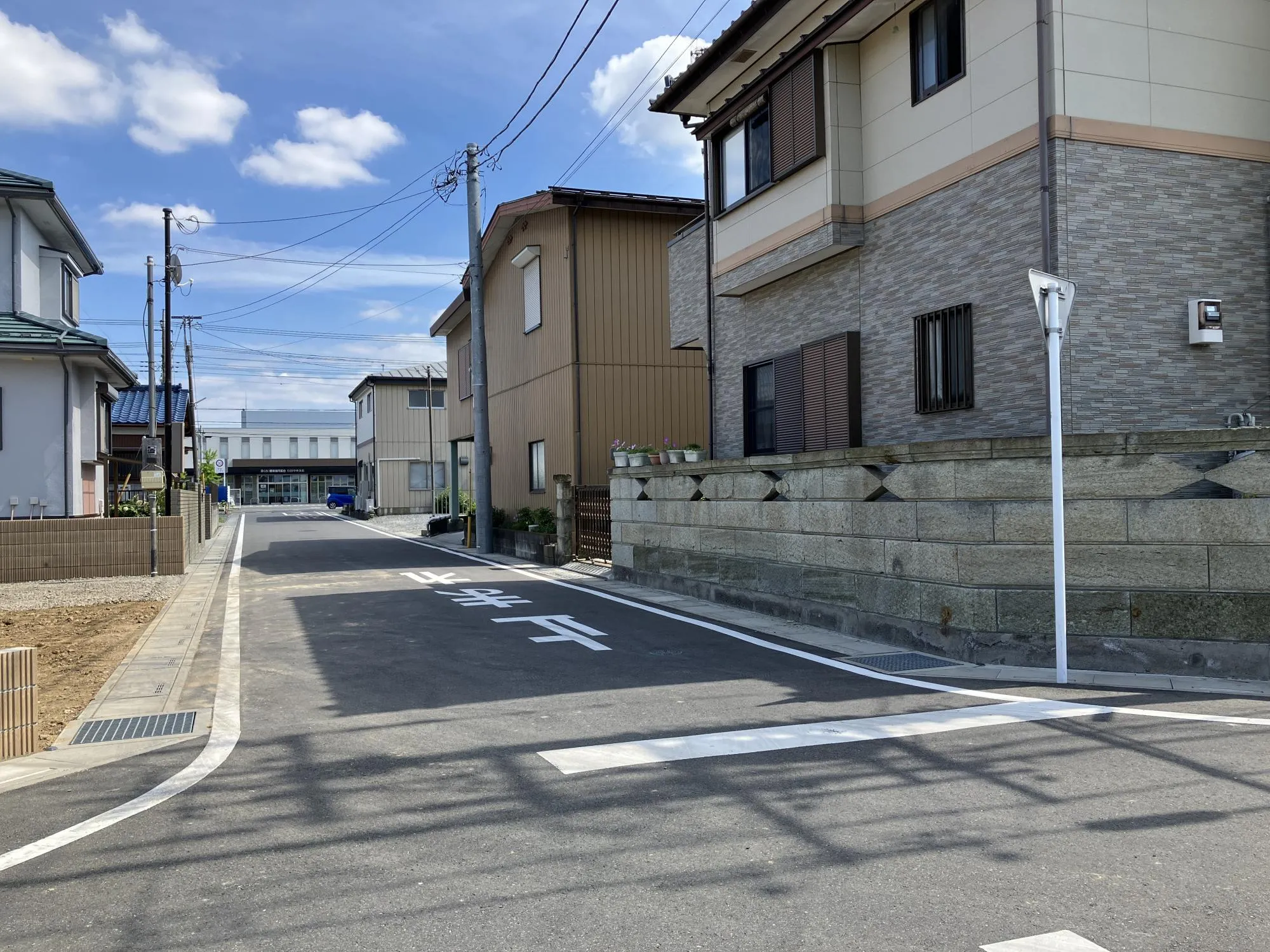 現地写真 6月撮影