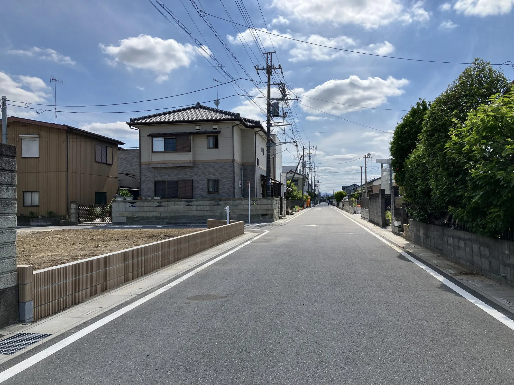 現地写真 6月撮影
