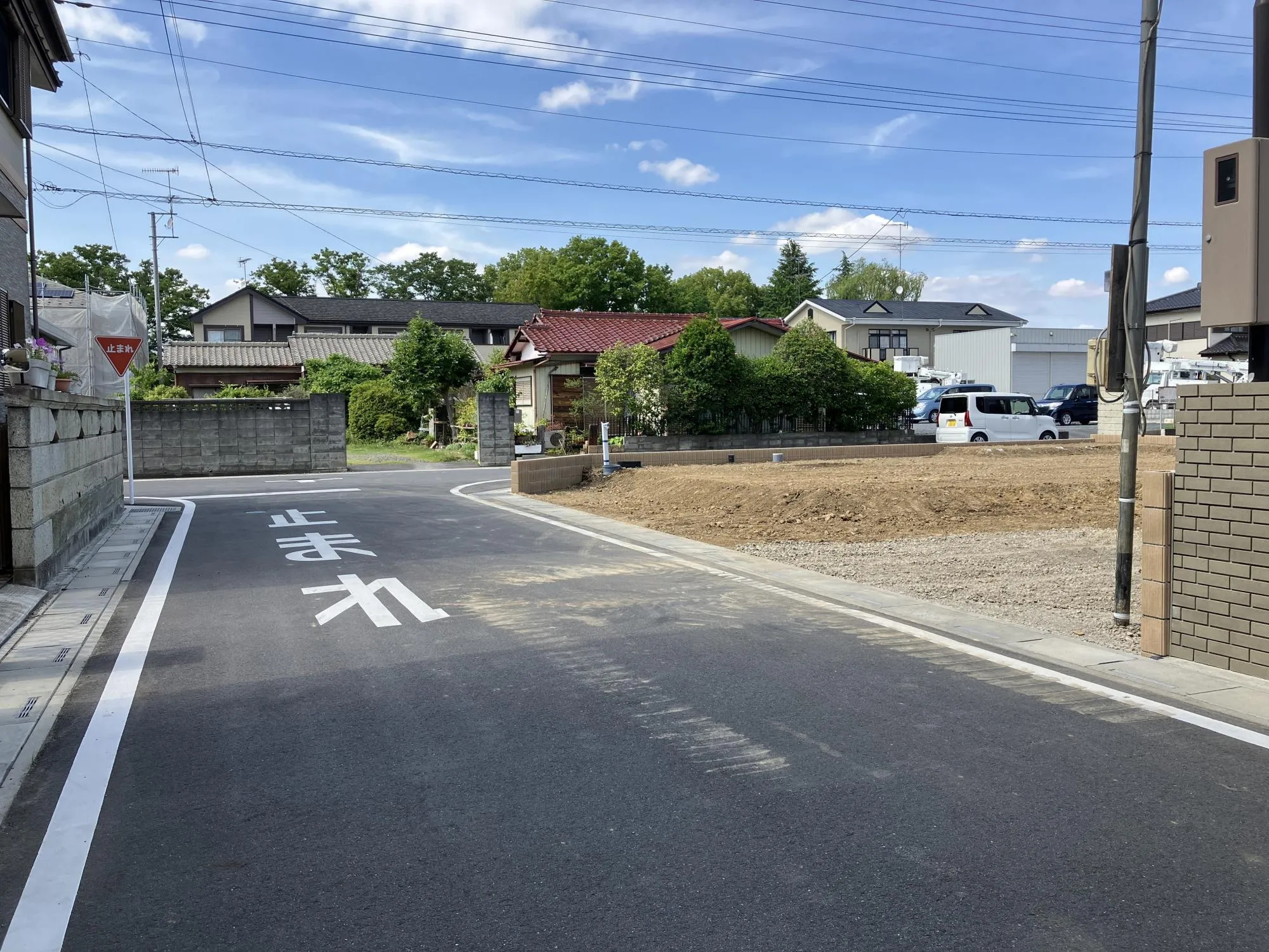 現地写真 6月撮影