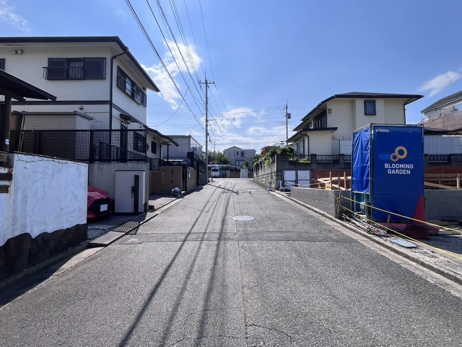 現地写真(7月中旬撮影)