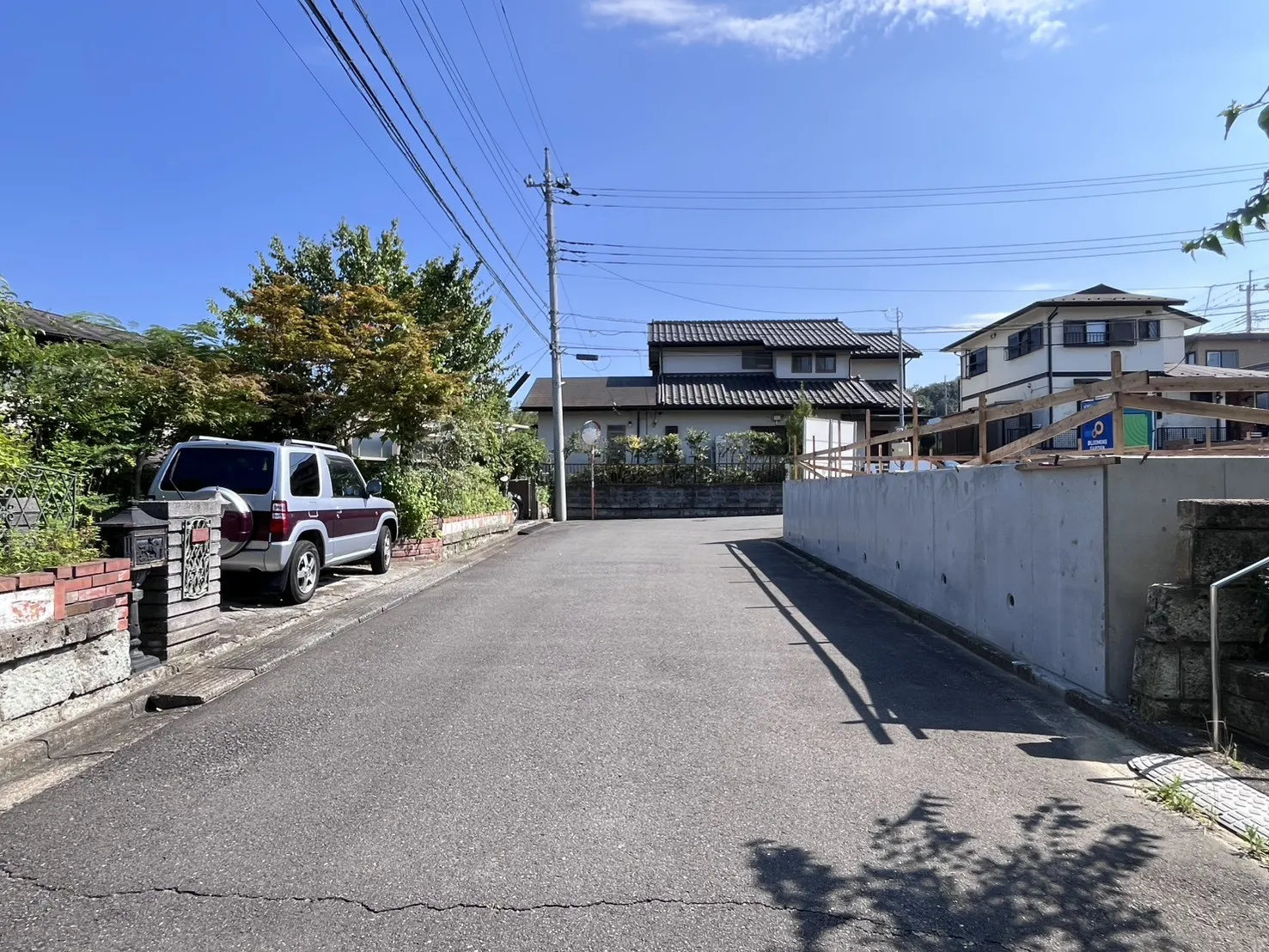 現地写真(7月中旬撮影)