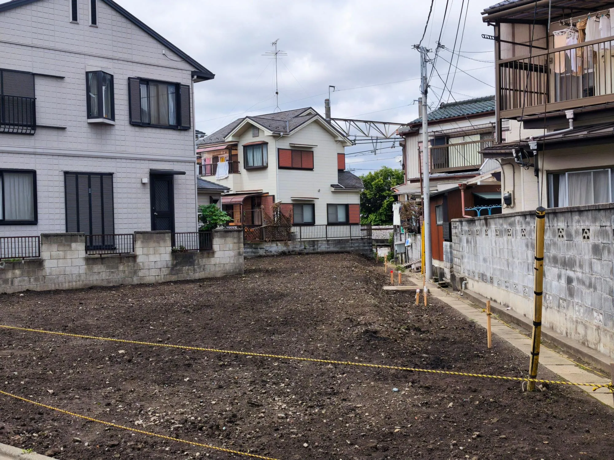現地写真 6月撮影