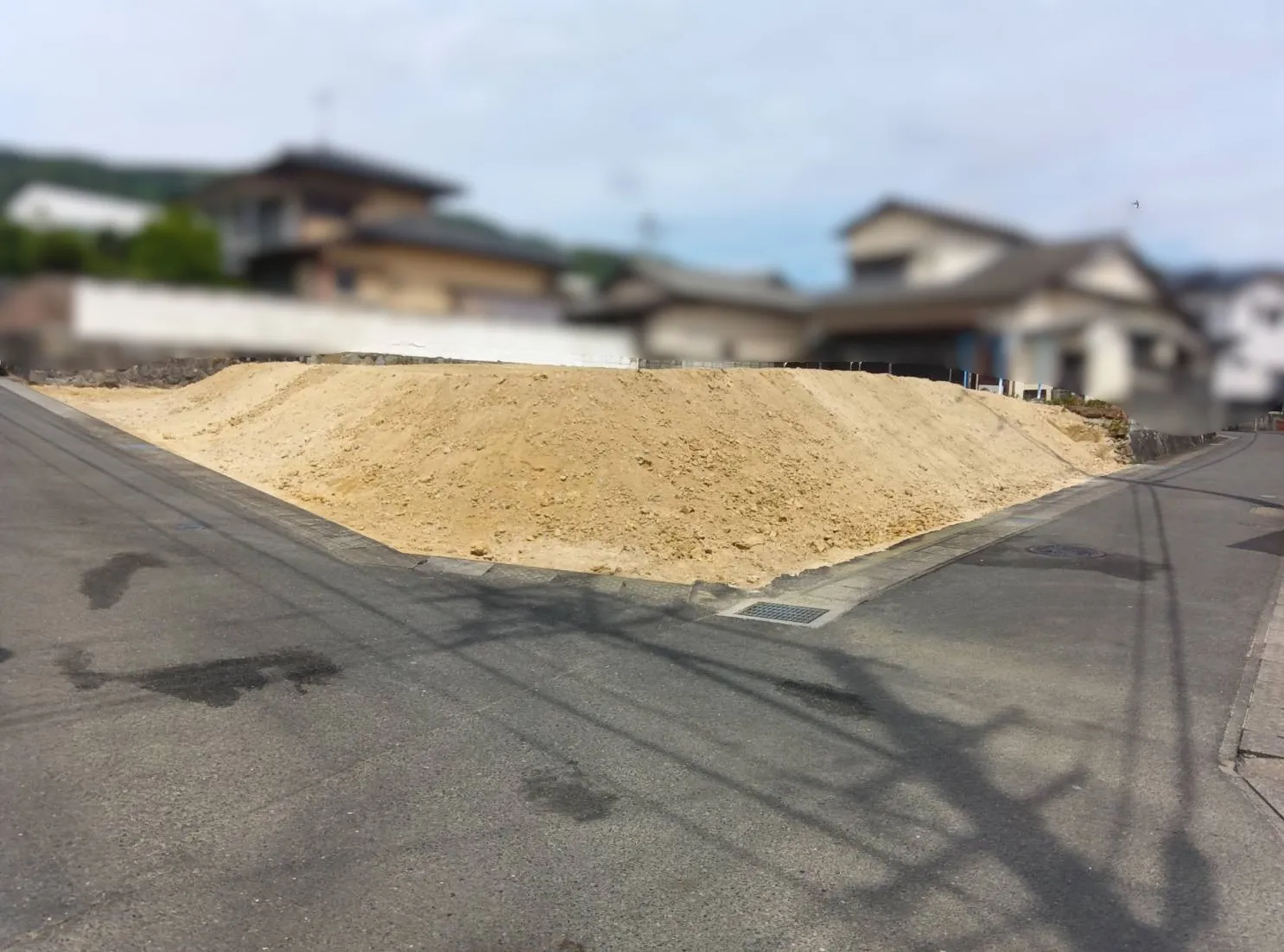 現地写真