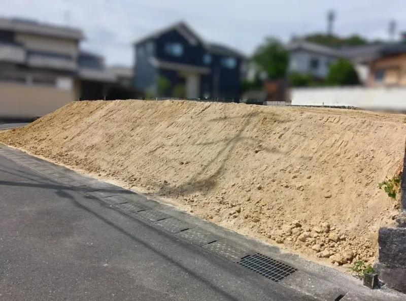 現地写真