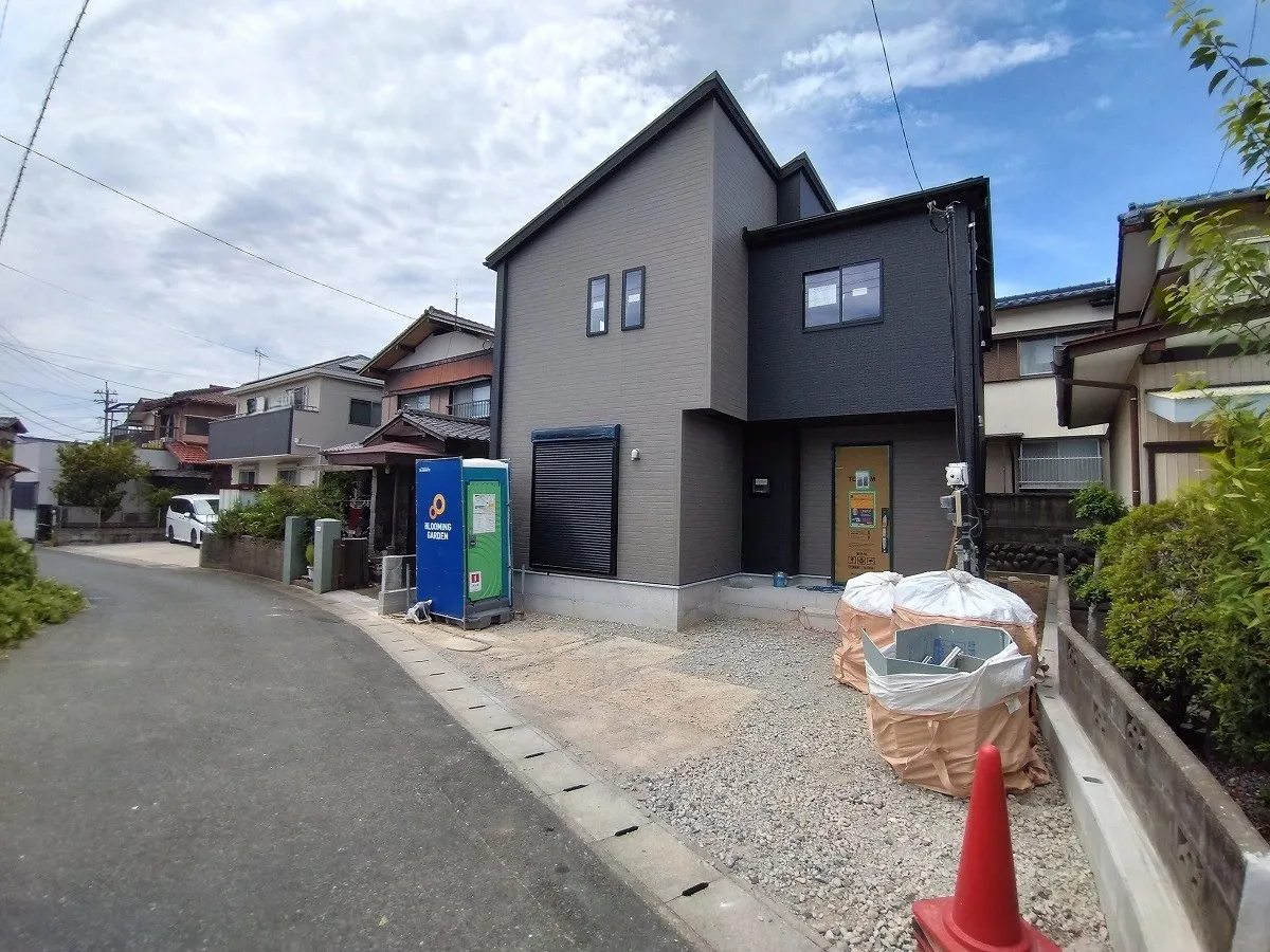 8月8日撮影