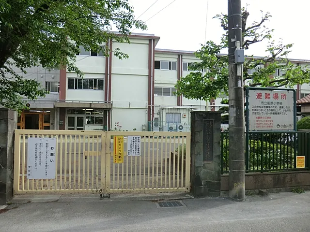 小金井市立前原小学校