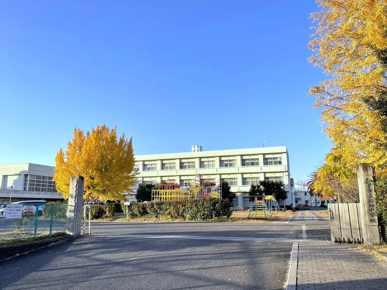 新知小学校