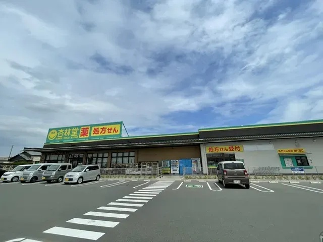 杏林堂ドラッグストア 竜洋店