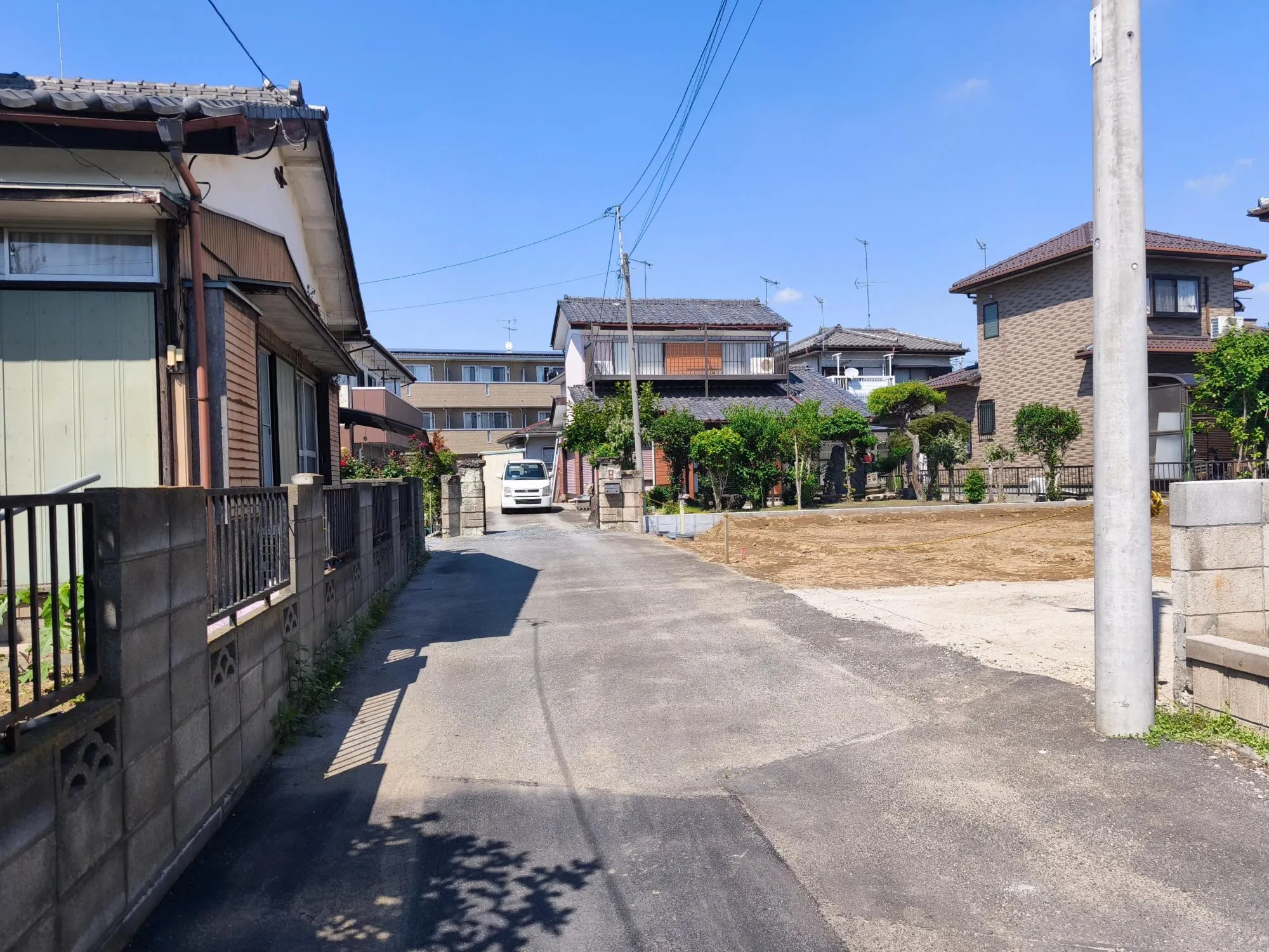 現地写真 7月撮影