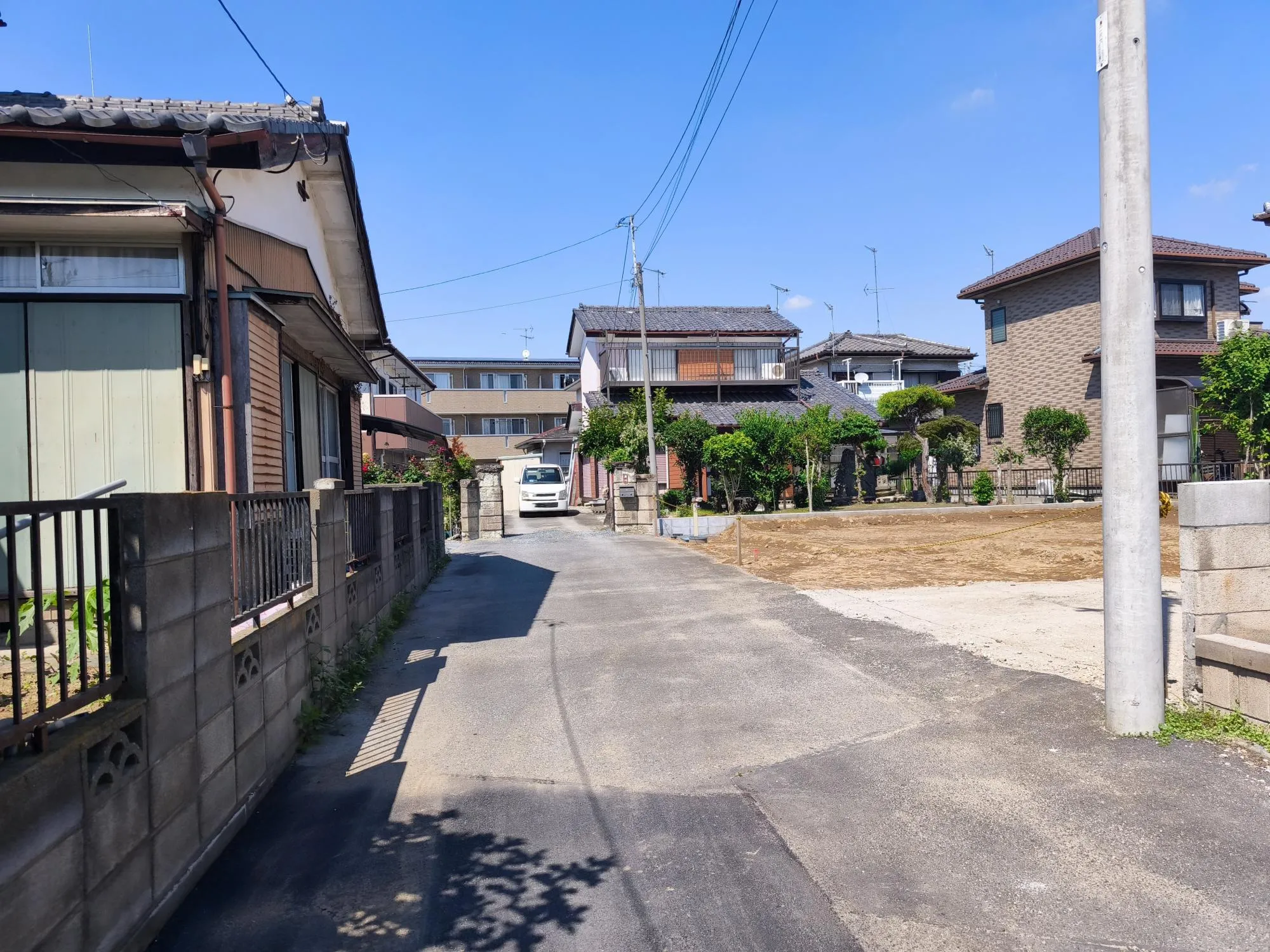 現地写真 7月撮影