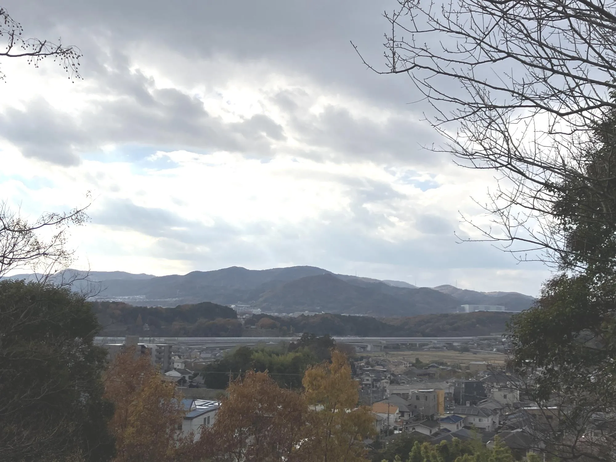 大和みはらし緑地