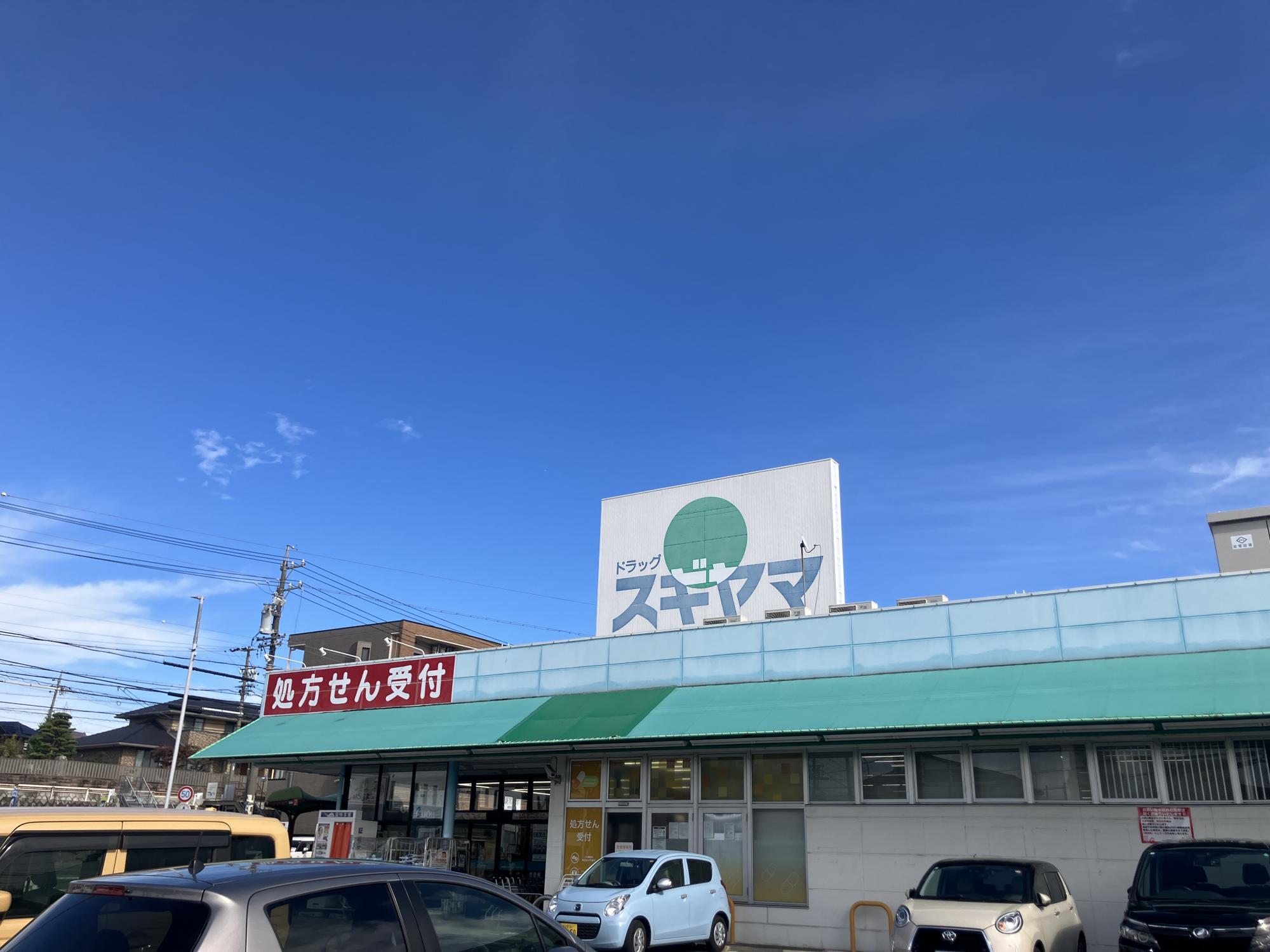 ドラッグスギヤマ神の倉店