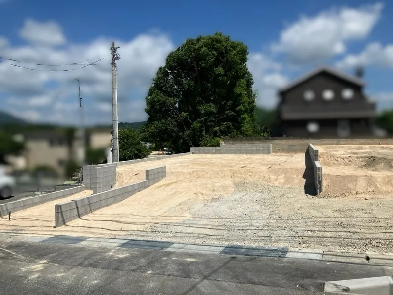 現地写真