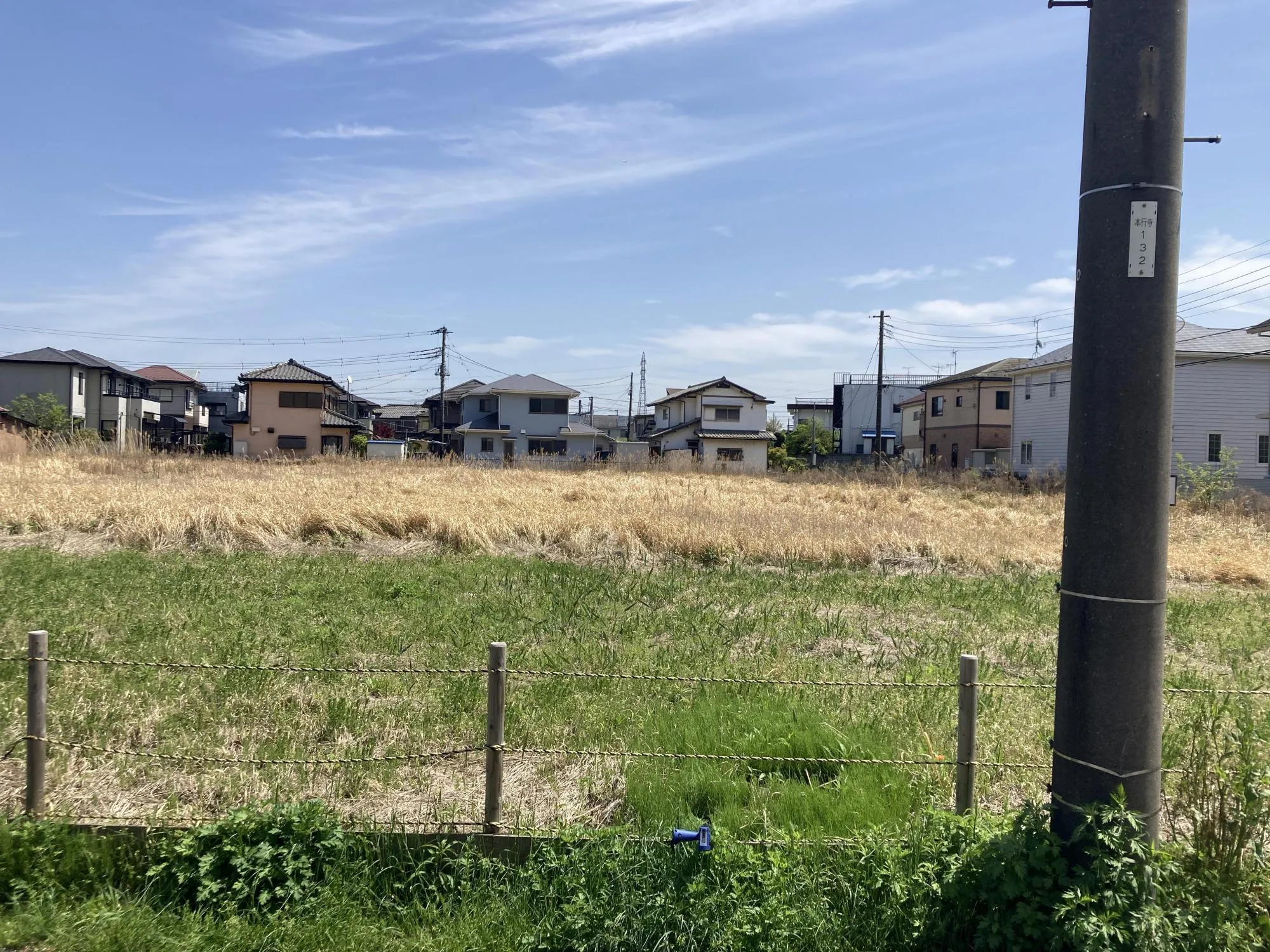 4月中旬撮影