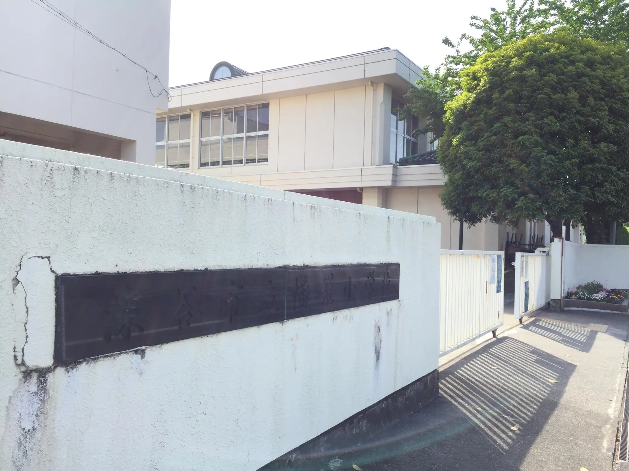 幡羅小学校