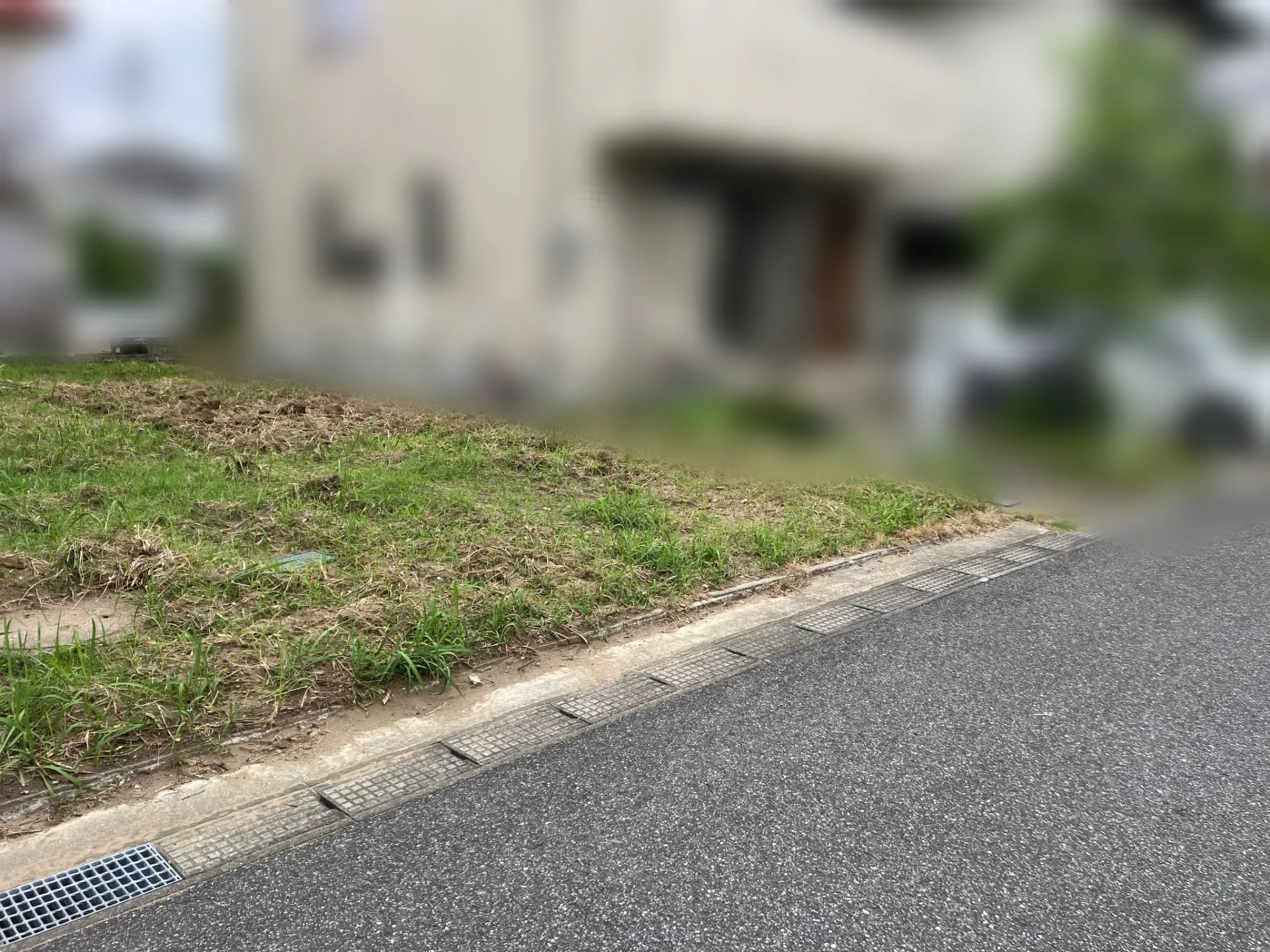★販売現地★