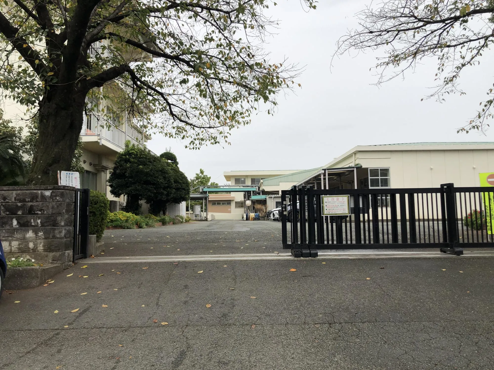合志市立西合志東小学校