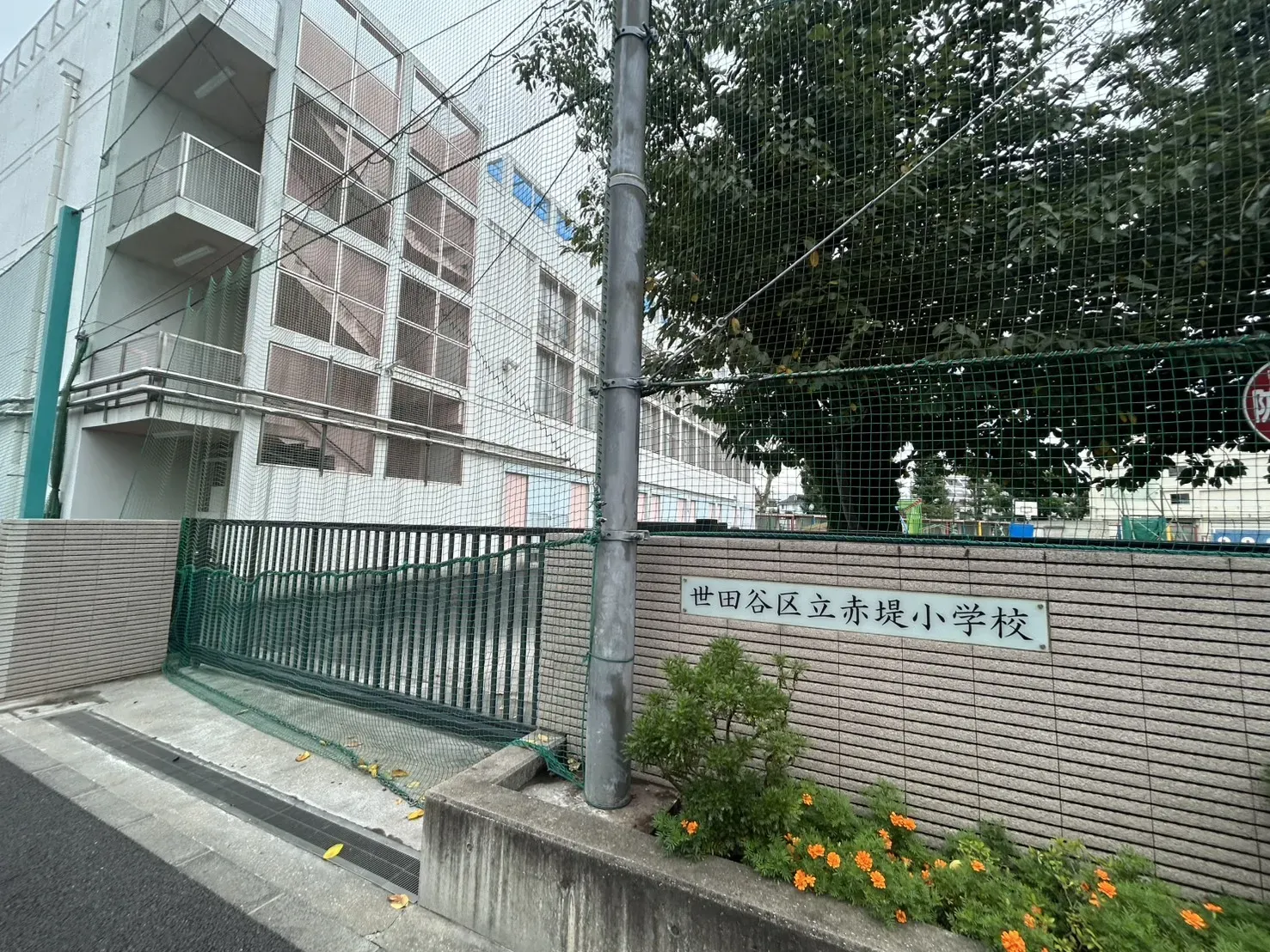 世田谷区立赤堤小学校